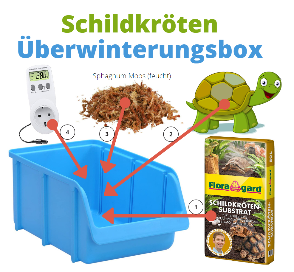 Box  Kiste  Überwinterungsbox für den Kühlschrank - Schildkrötenshop